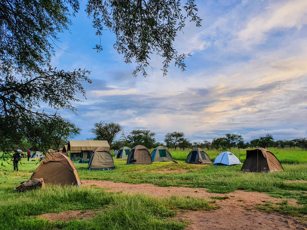 Bush Camping